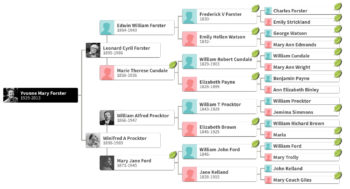 My mother's family tree